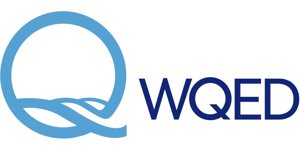 wqed logo horiz