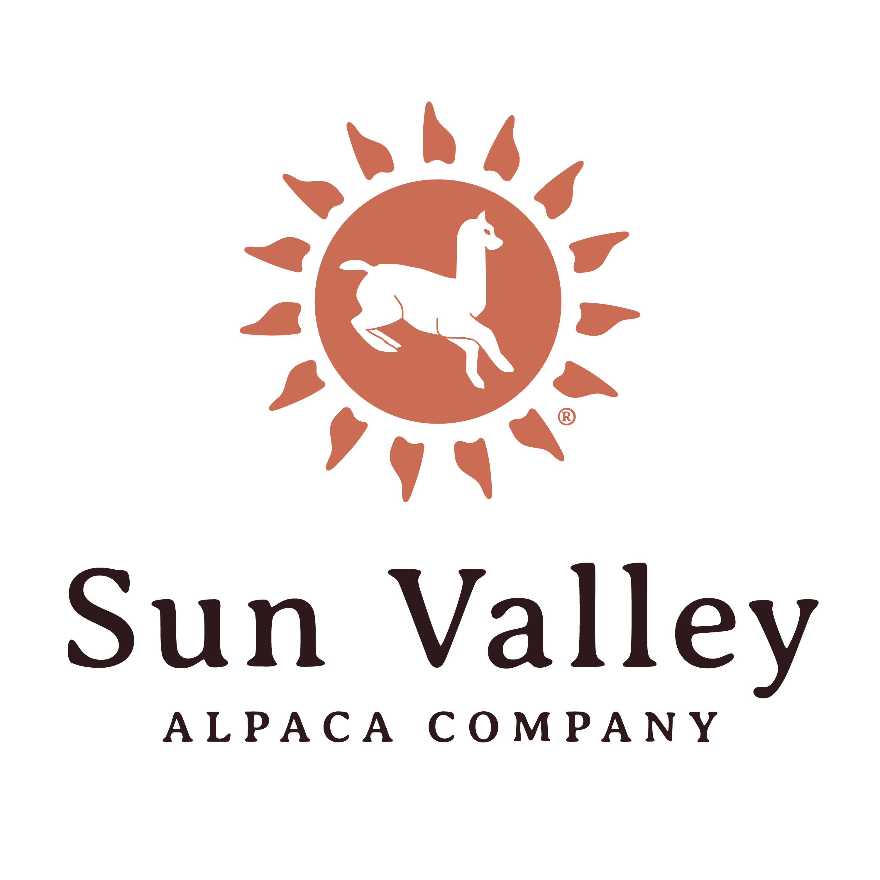 patron sponsor sunvalley logo